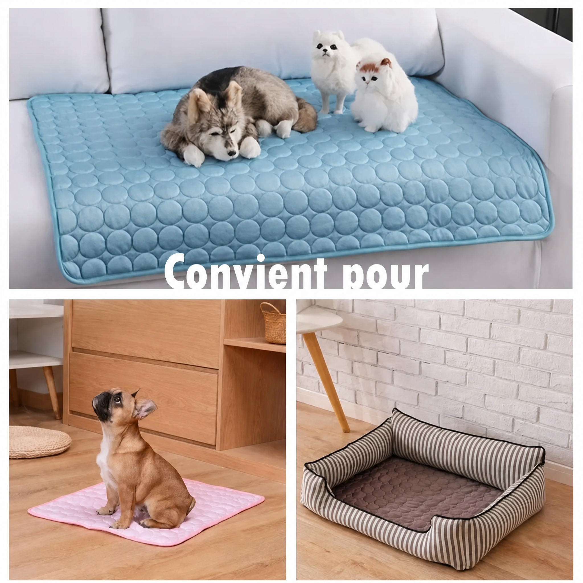 Tapis Rafraîchissant pour Chien & Chat — Soie Glacée — ou l installer