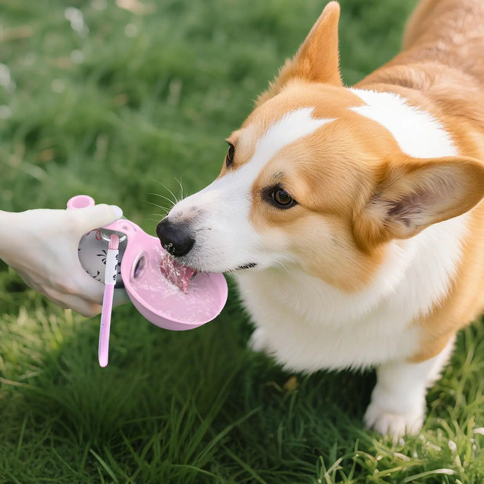 Gourde nomade 2-en-1 pour chien