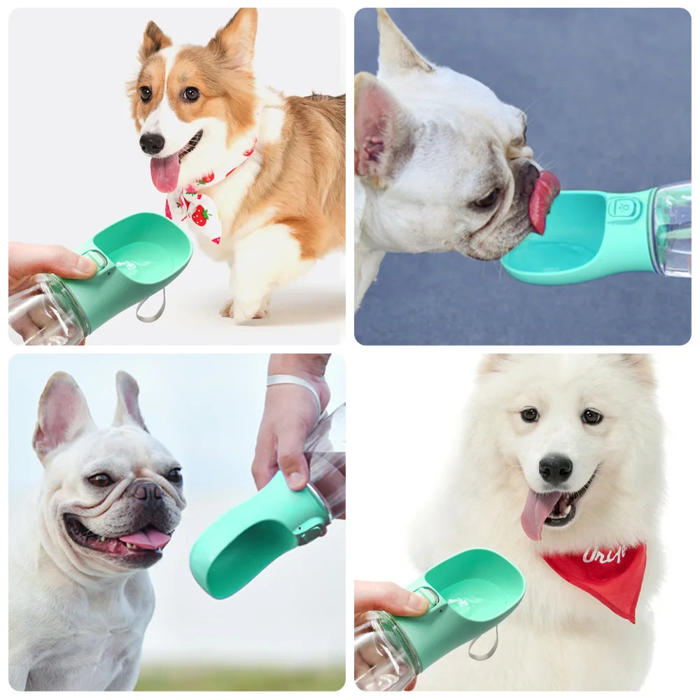 Gourde de promenade pour chien — visuel 2