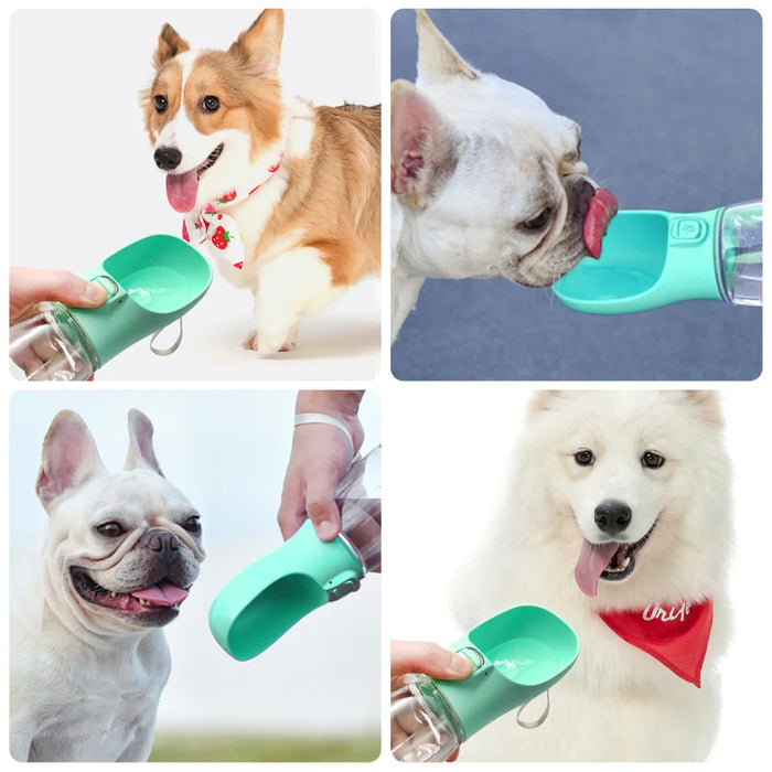 Gourde de promenade pour chien — visuel 2
