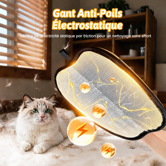 Gant de toilettage anti-poils pour chien et chat