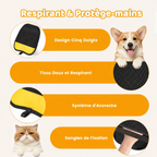 Gant de toilettage anti-poils pour chien et chat