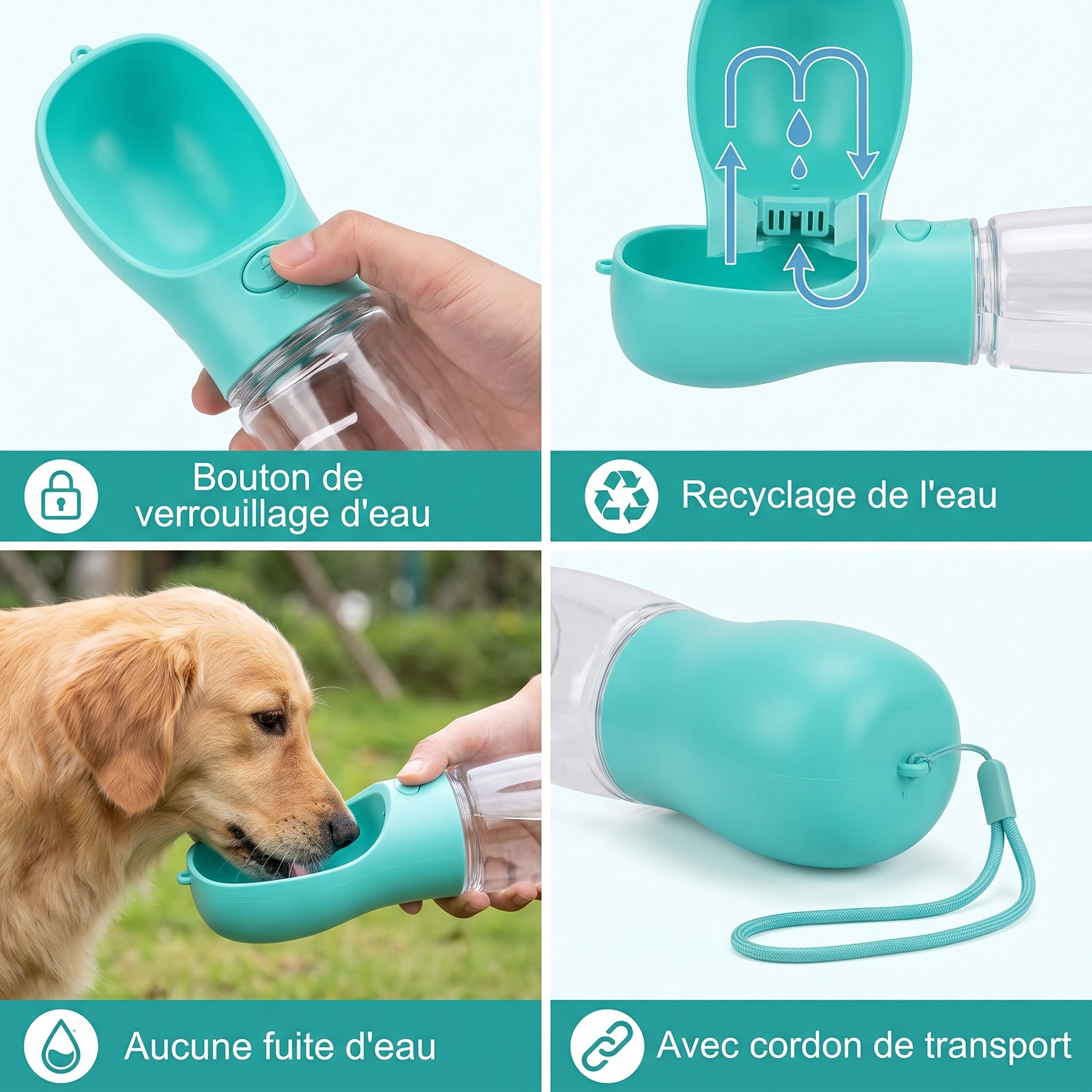 Gourde de promenade pour chien — visuel 4