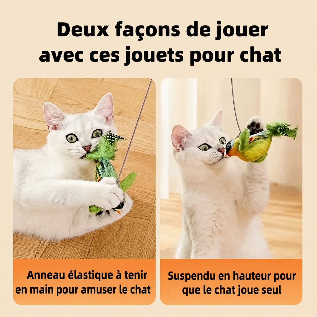 Jouet oiseau chanteur pour chat — visuel 4
