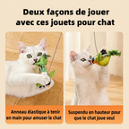 Jouet oiseau chanteur pour chat — visuel 4