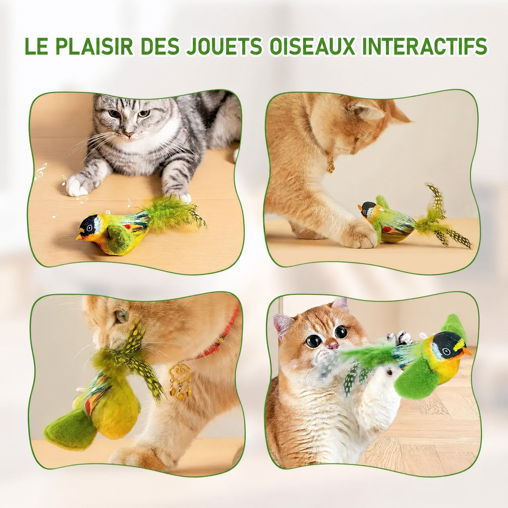 Jouet oiseau chanteur pour chat — visuel 5