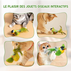 Jouet oiseau chanteur pour chat — visuel 5