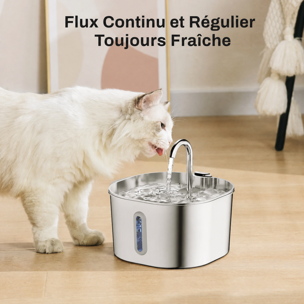 Fontaine à Eau Inox 2,2 L pour Chat & Chien — usage quotidien