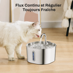 Fontaine à Eau Inox 2,2 L pour Chat & Chien — usage quotidien