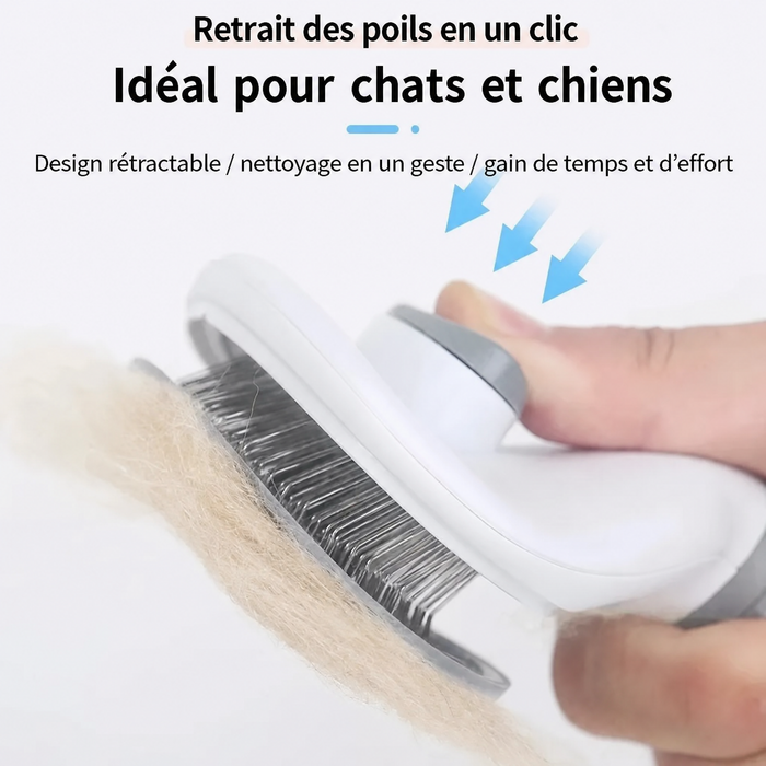 Brosse auto-nettoyante grise pour chien et chat
