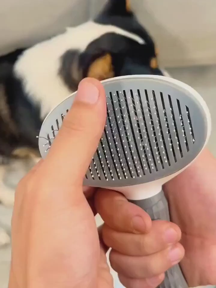 Démonstration — Brosse Auto-Nettoyante pour Chien & Chat — Poils Retirés en Un Clic