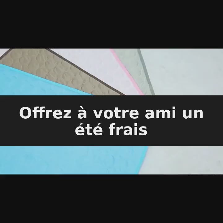 Démonstration — Tapis Rafraîchissant pour Chien & Chat — Soie Glacée Respirante, 4 Tailles (texte traduit en français)