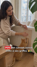 Tapis anti-griffures adhesif PawsVibe — installation sur canape, chat qui griffe (pub)