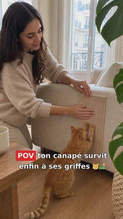 Tapis anti-griffures adhesif PawsVibe — installation sur canape, chat qui griffe (pub)