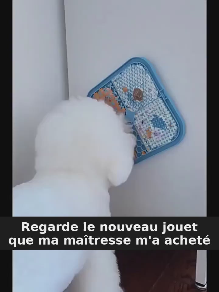 Démonstration — Tapis de léchage PawsVibe (texte traduit en français)