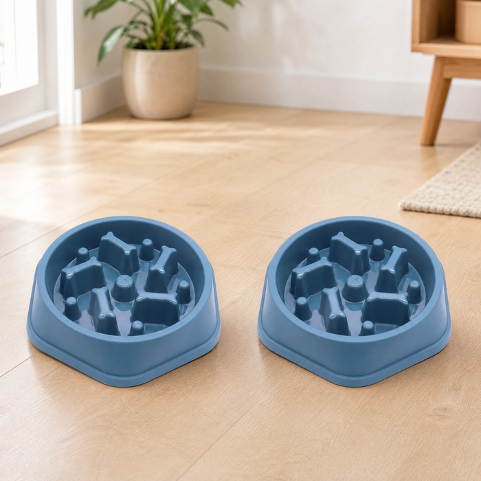 Lot de 2 gamelles anti-glouton bleu clair