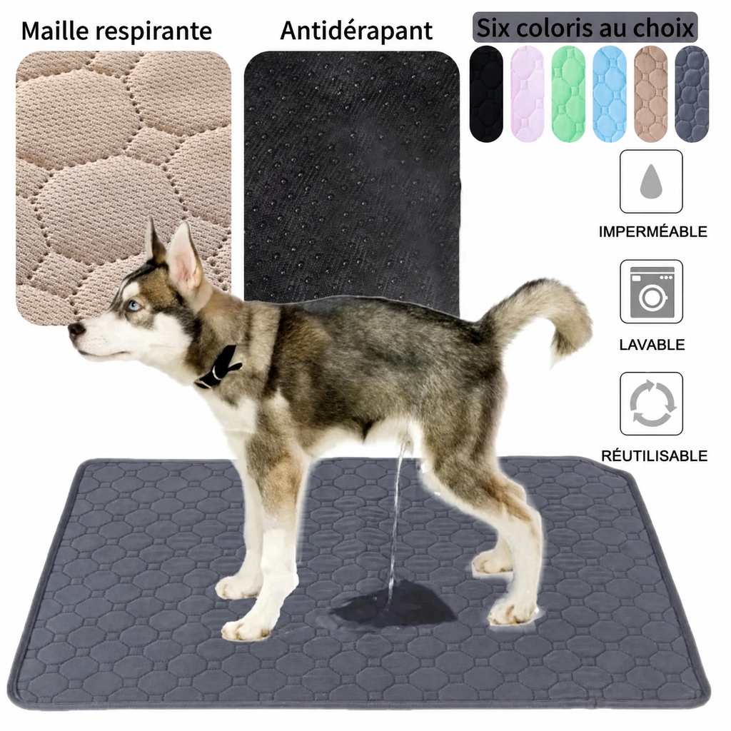 Tapis absorbant lavable 70 × 100 cm — visuel 1