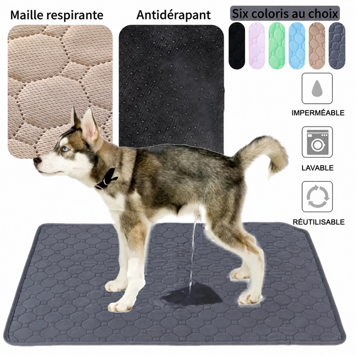 Tapis absorbant lavable 70 × 100 cm — visuel 1