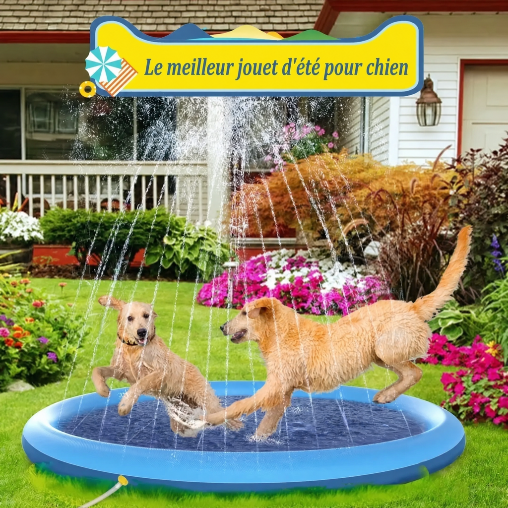 Tapis d'arrosage à jets pour chien — visuel 1
