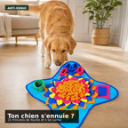 Tapis de fouille anti-ennui posé dans un salon