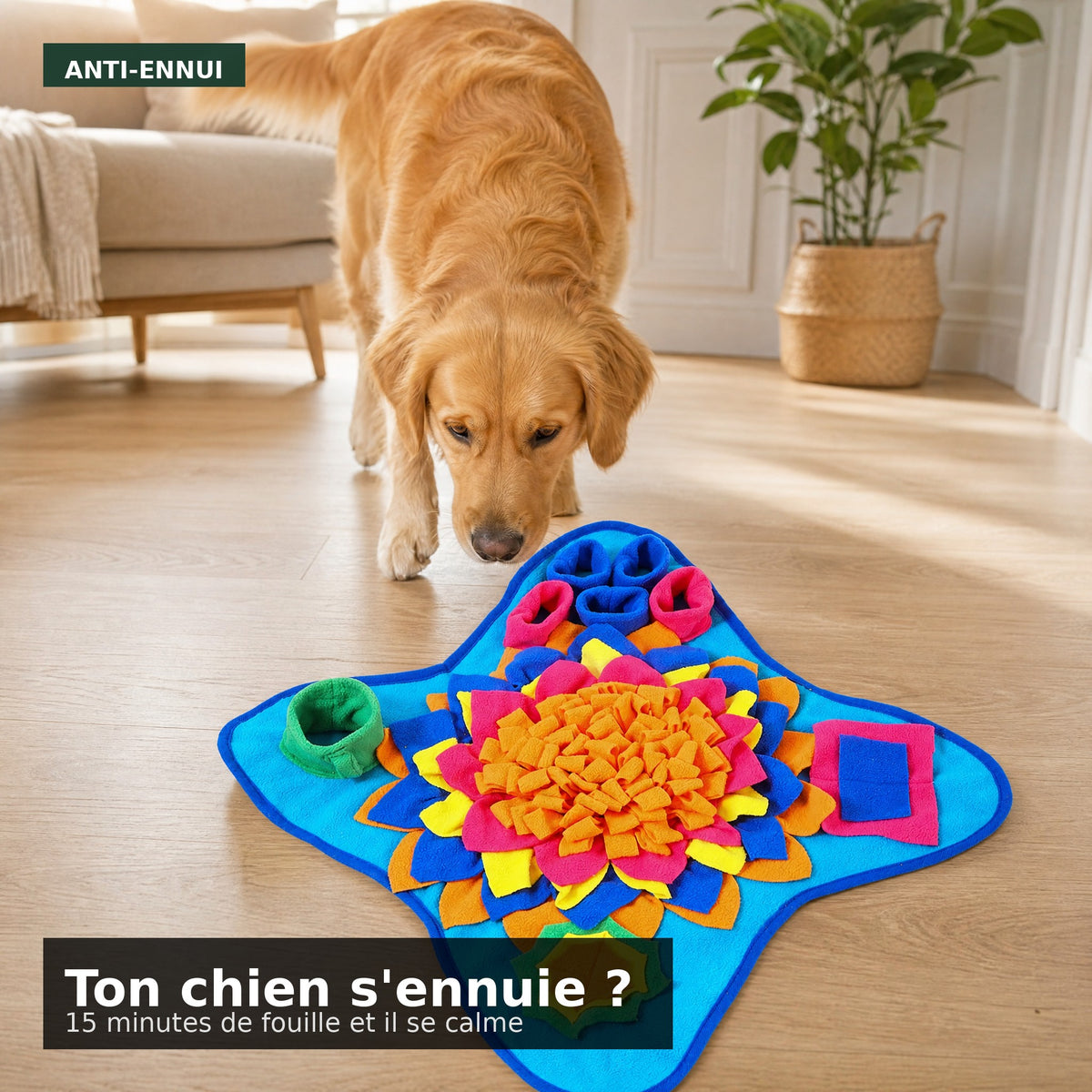 Tapis de fouille anti-ennui posé dans un salon