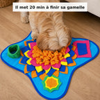 Chien fouillant le tapis avec son museau