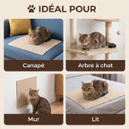 Idéal pour : canapé, arbre à chat, mur, lit