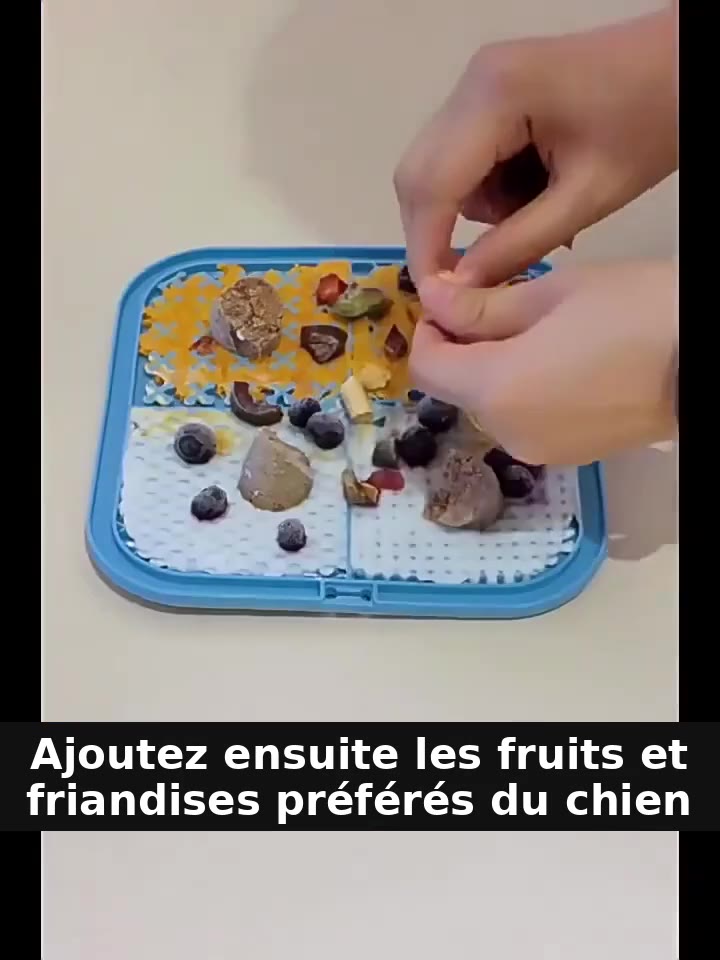 Tapis de léchage PawsVibe