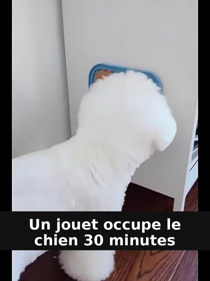 Tapis de léchage PawsVibe