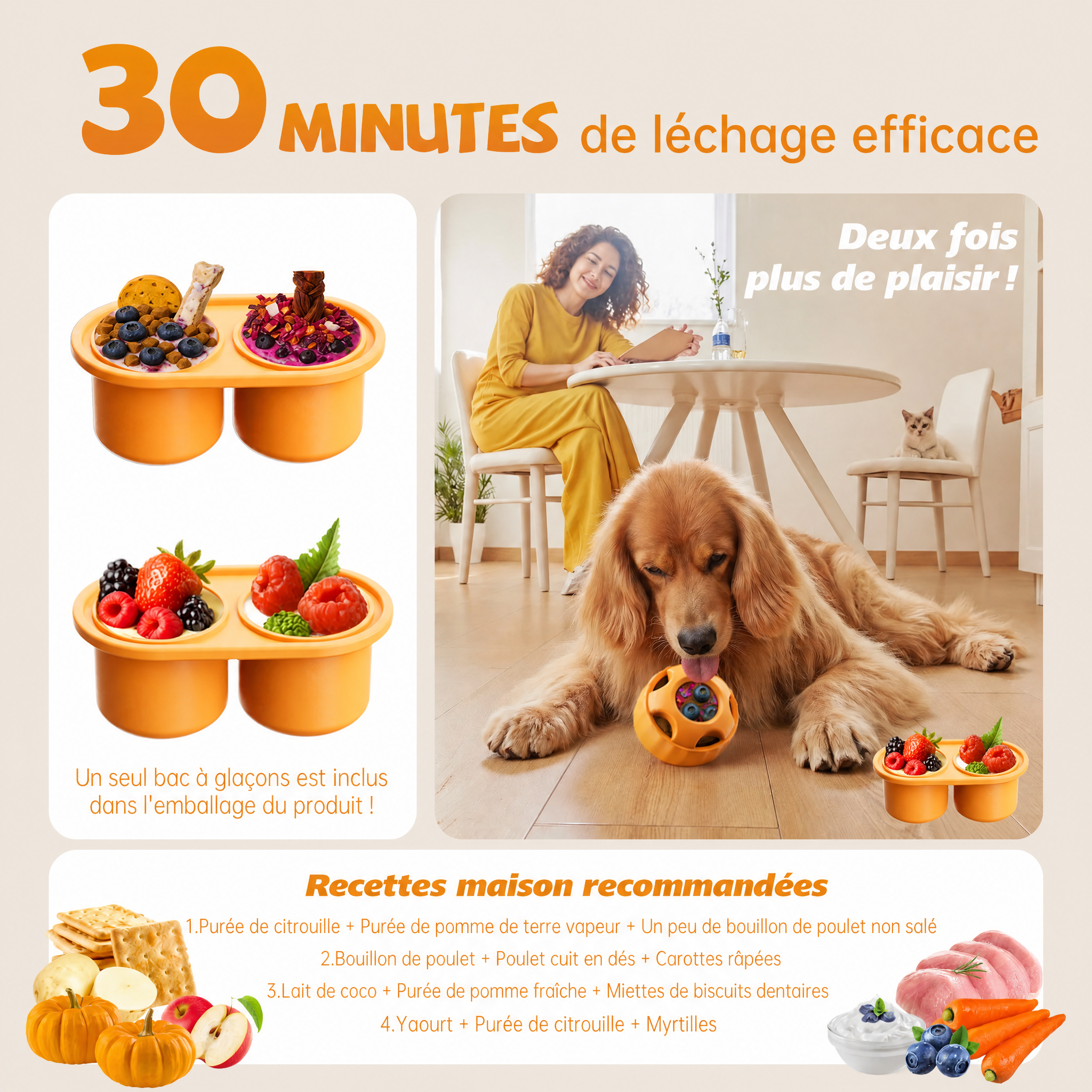 FrostBall PawsVibe — La balle congelable qui occupe votre chien 30 minutes