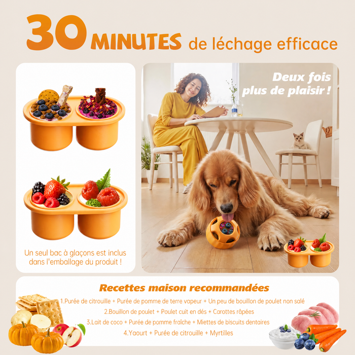 FrostBall PawsVibe — La balle congelable qui occupe votre chien 30 minutes