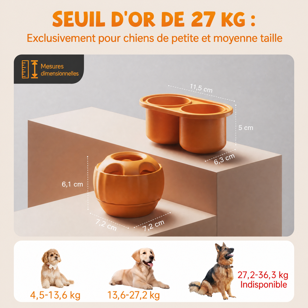 FrostBall PawsVibe — La balle congelable qui occupe votre chien 30 minutes
